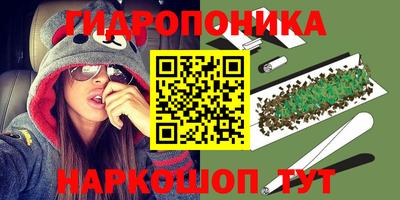 таблы Новозыбков