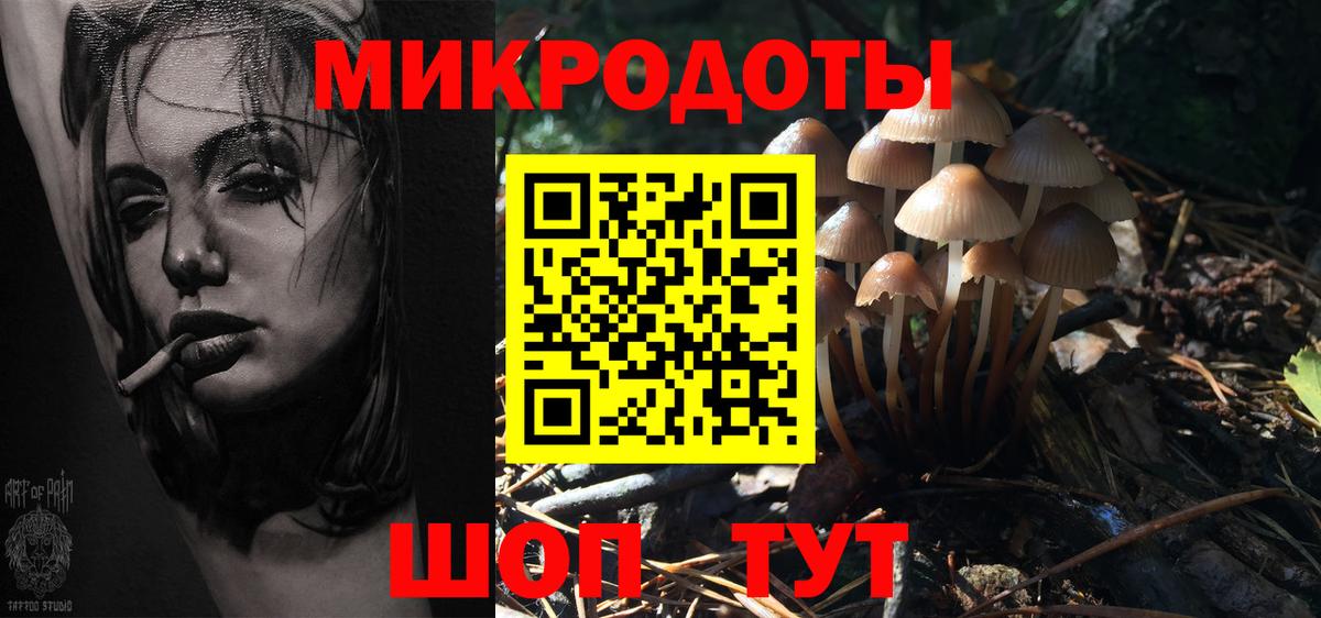 Псилоцибиновые грибы прущие грибы Учалы